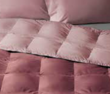 Trapunta Matrimoniale Invernale Piuma d'Oca - Agata - Rubino - Molina