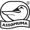Piumino in Piuma d’Oca Leggerissimo - Oro Bianco Lieve - 100% Piumino Certificato – Anallergico - Molina